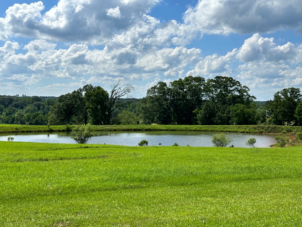 Magnolia, Mississippi 39652, United States, 3 Bedrooms Bedrooms, ,3 BathroomsBathrooms,Residential,Active,57825