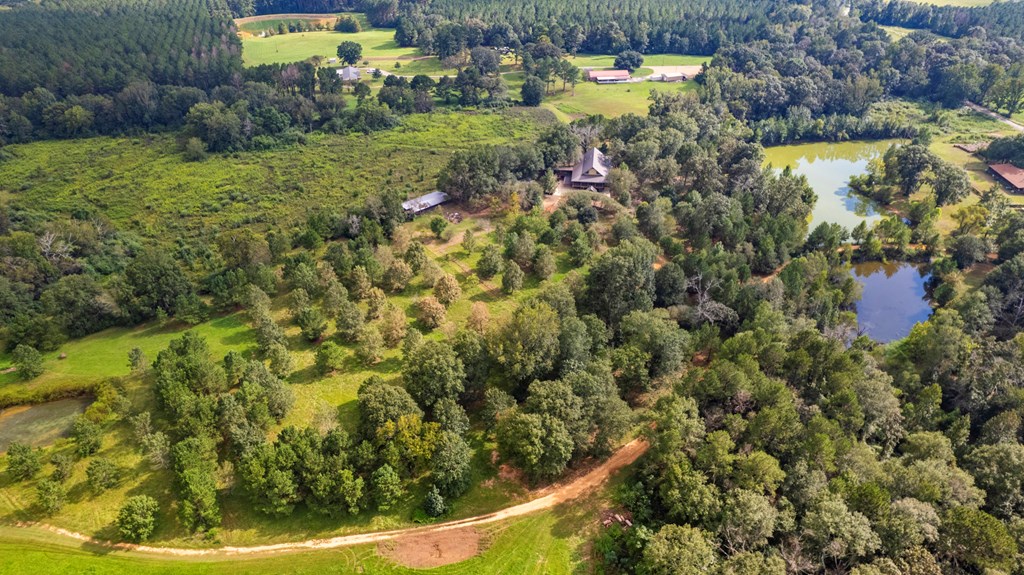 Tylertown, Mississippi 39667, United States, 3 Bedrooms Bedrooms, ,3 BathroomsBathrooms,Residential,Pending,43061