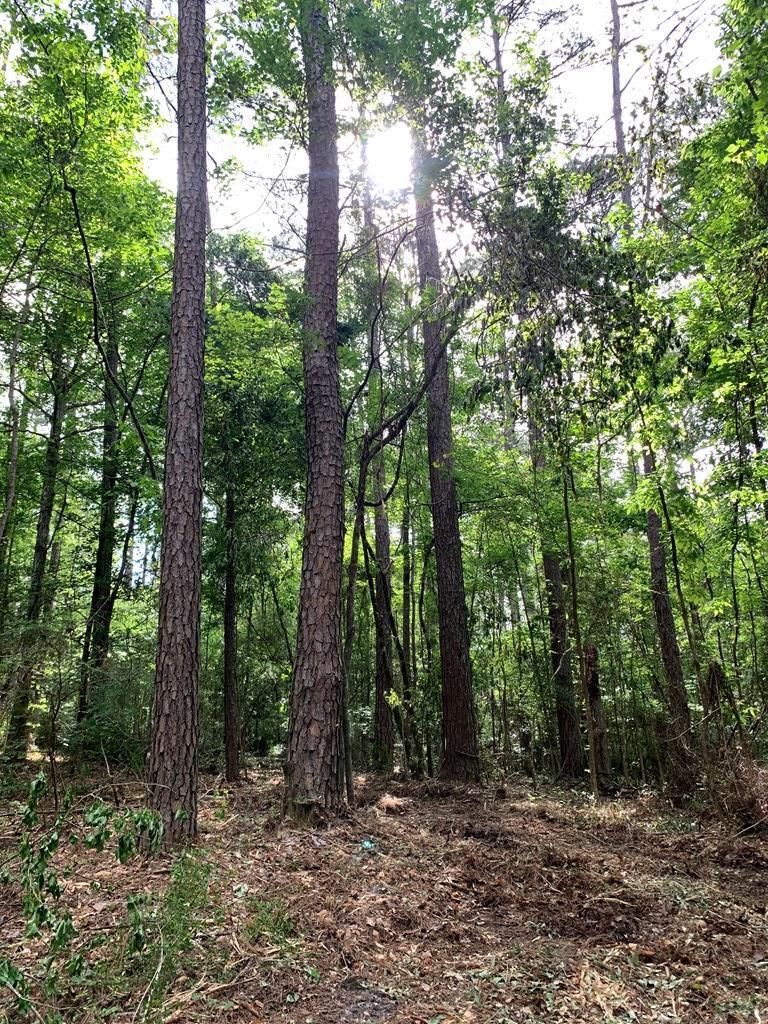 Magnolia, Mississippi 39652, United States, ,Land,Active,128353