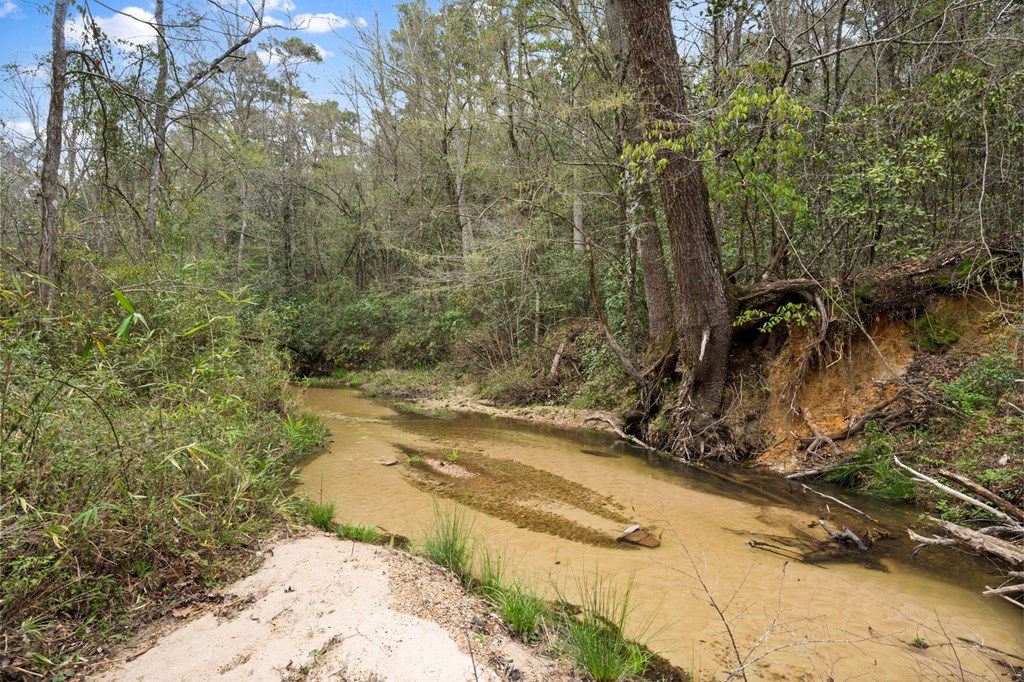 Tylertown, Mississippi 39667, United States, 6 Bedrooms Bedrooms, ,7 BathroomsBathrooms,Residential,Active,30051