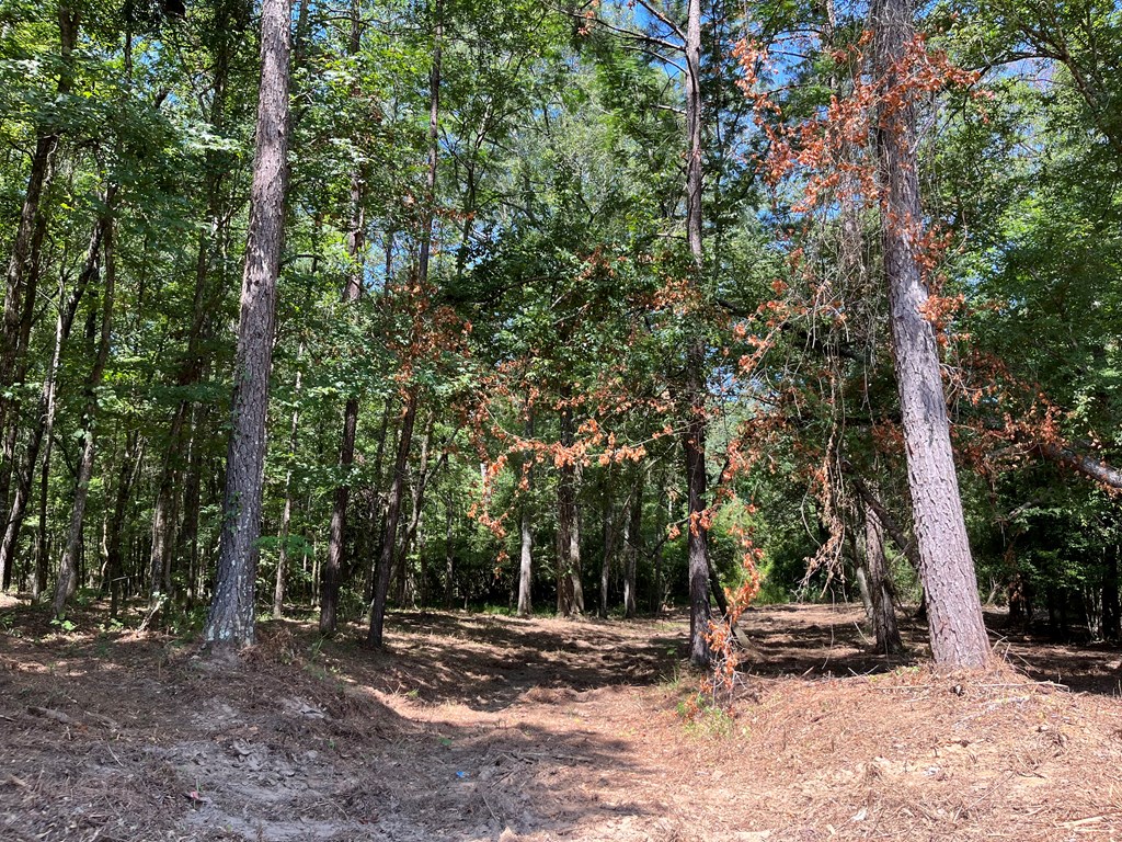 Summit, Mississippi 39666, United States, ,Land,Active,53503