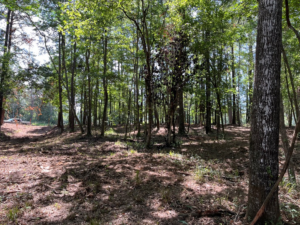 Summit, Mississippi 39666, United States, ,Land,Active,53503