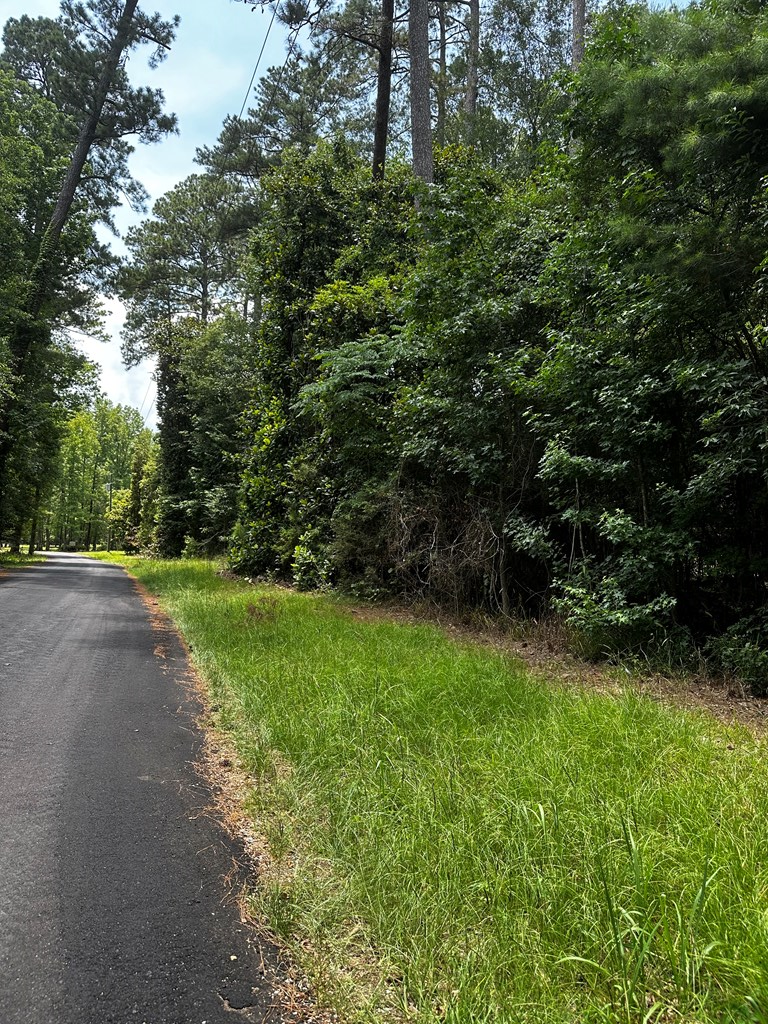 Summit, Mississippi 39666, United States, ,Land,Active,53501