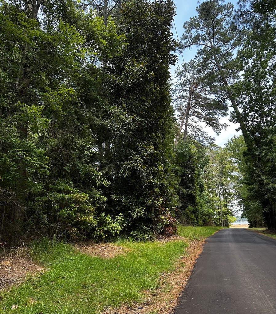 Summit, Mississippi 39666, United States, ,Land,Active,53501