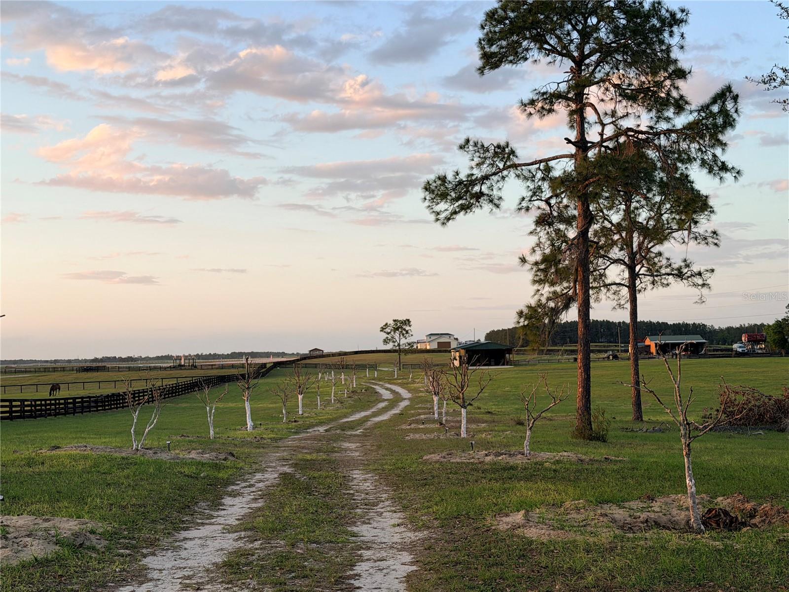 WILLISTON MILE - Residential