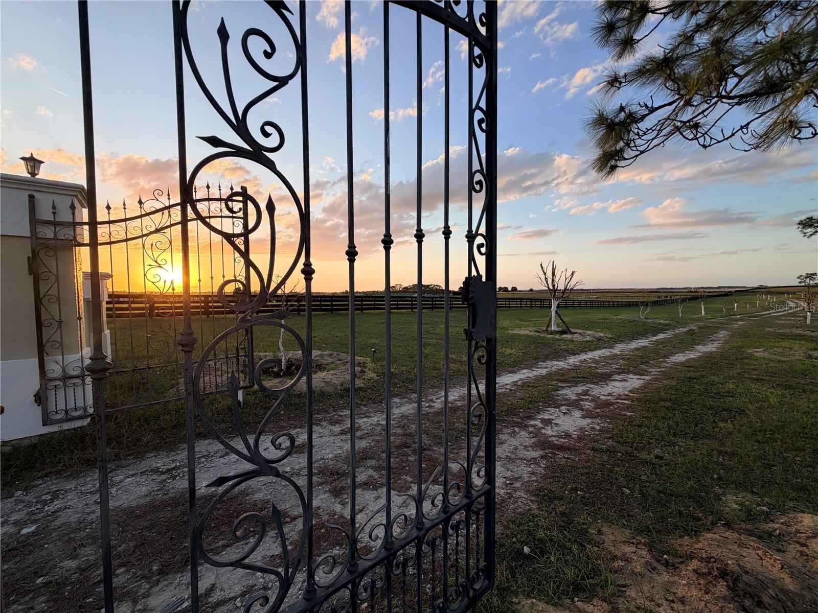 WILLISTON MILE - Residential