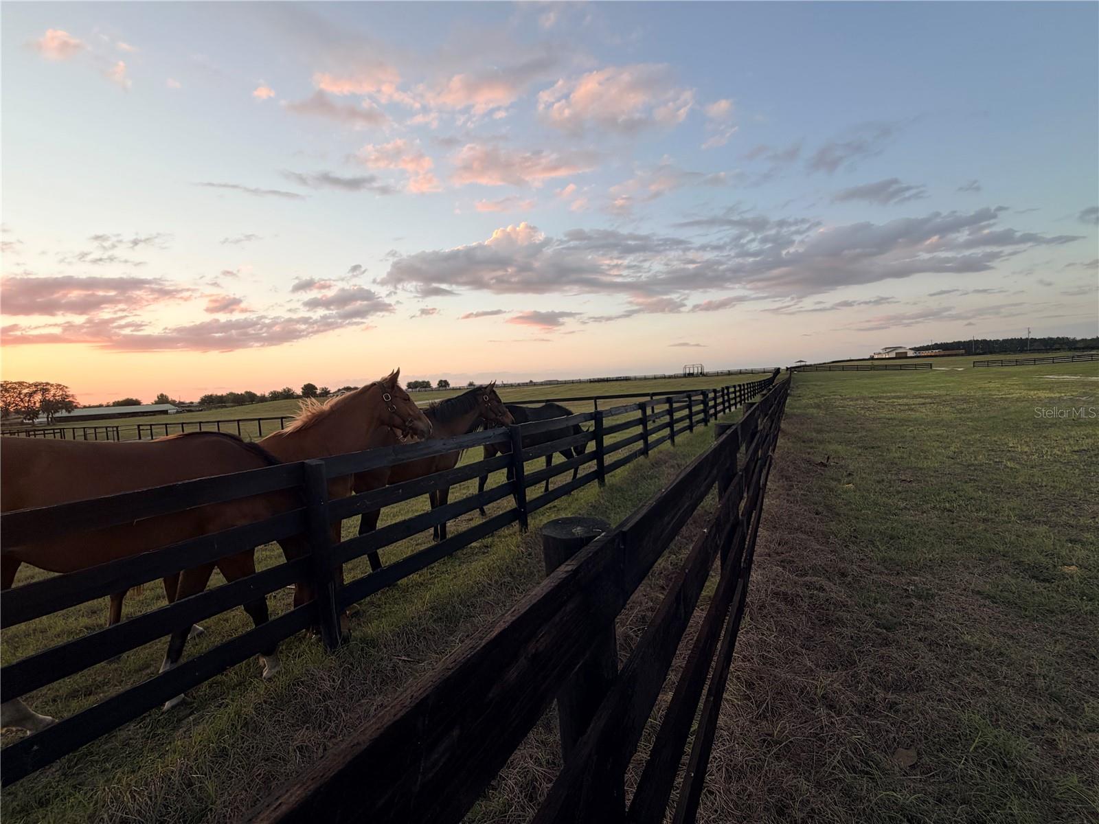 WILLISTON MILE - Residential