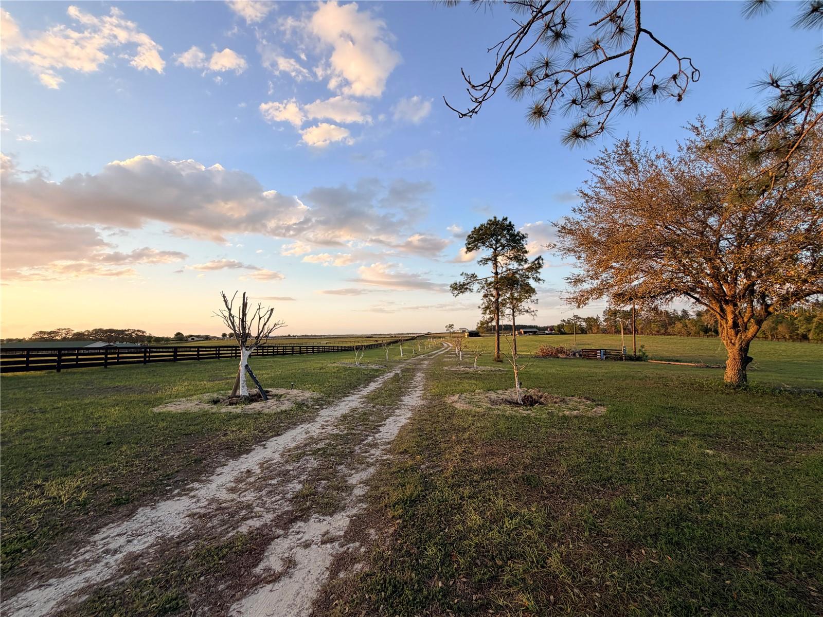 WILLISTON MILE - Residential