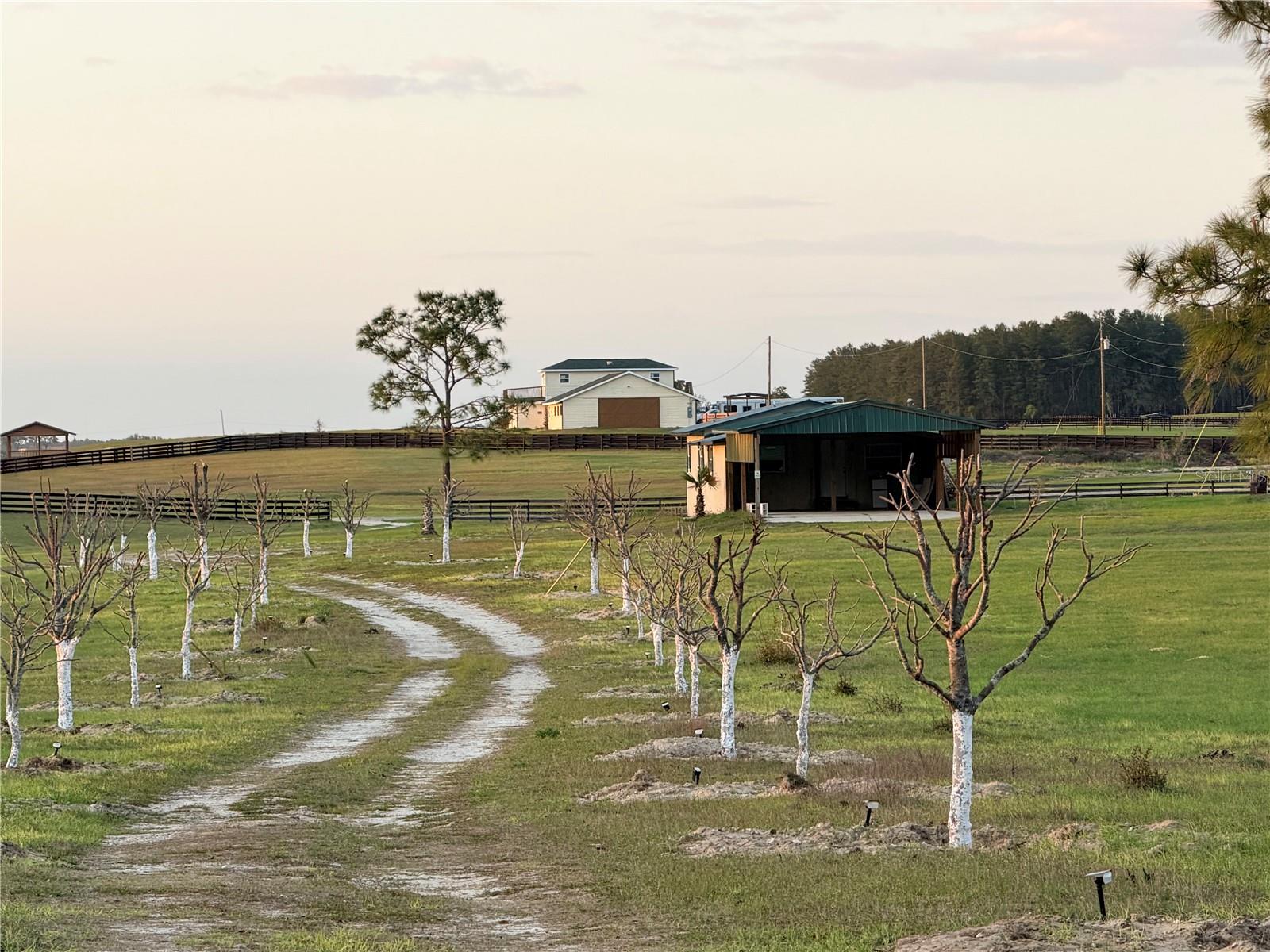 WILLISTON MILE - Residential