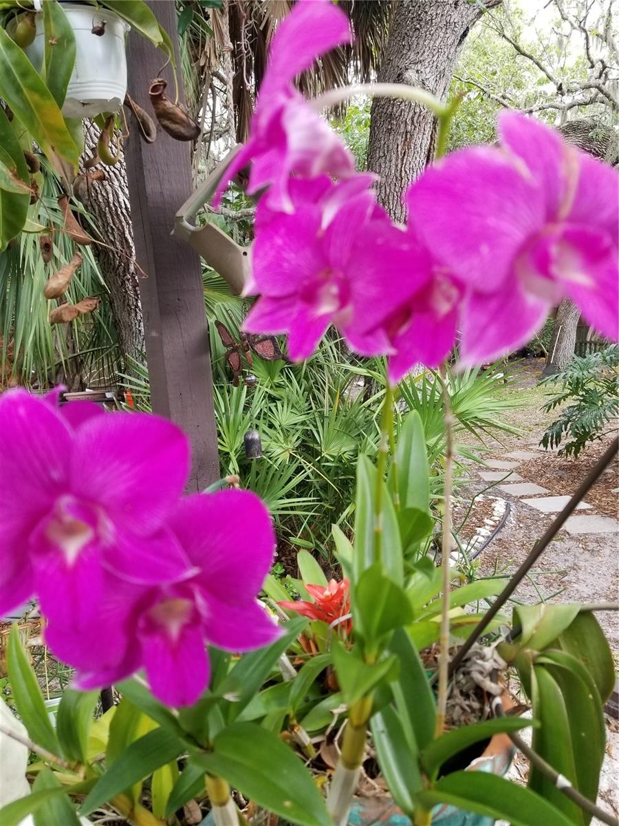 0616 - MANASOTA-BY-THE-SEA - Residential