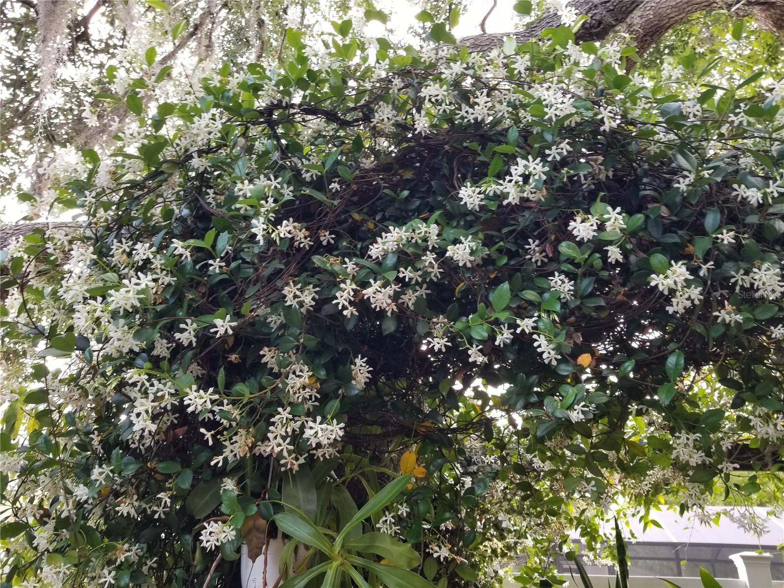 0616 - MANASOTA-BY-THE-SEA - Residential