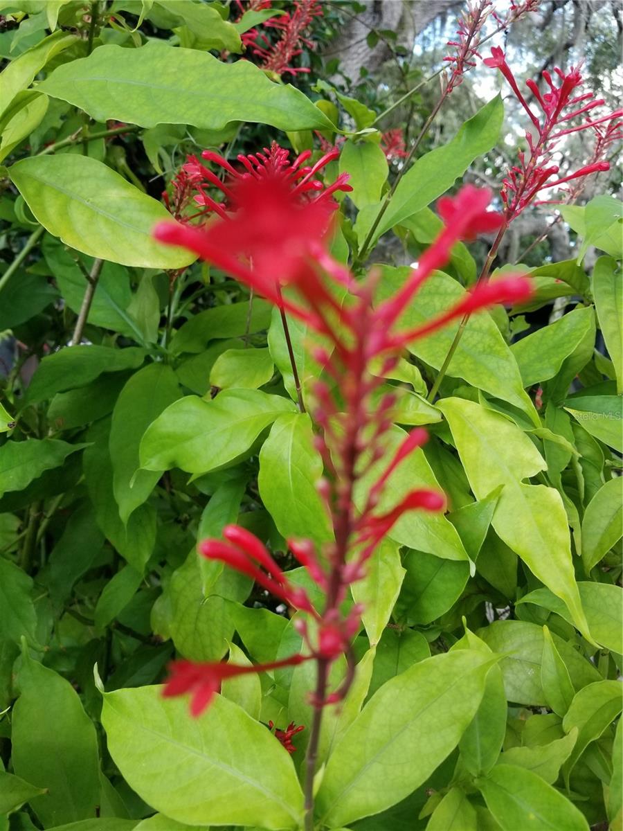 0616 - MANASOTA-BY-THE-SEA - Residential