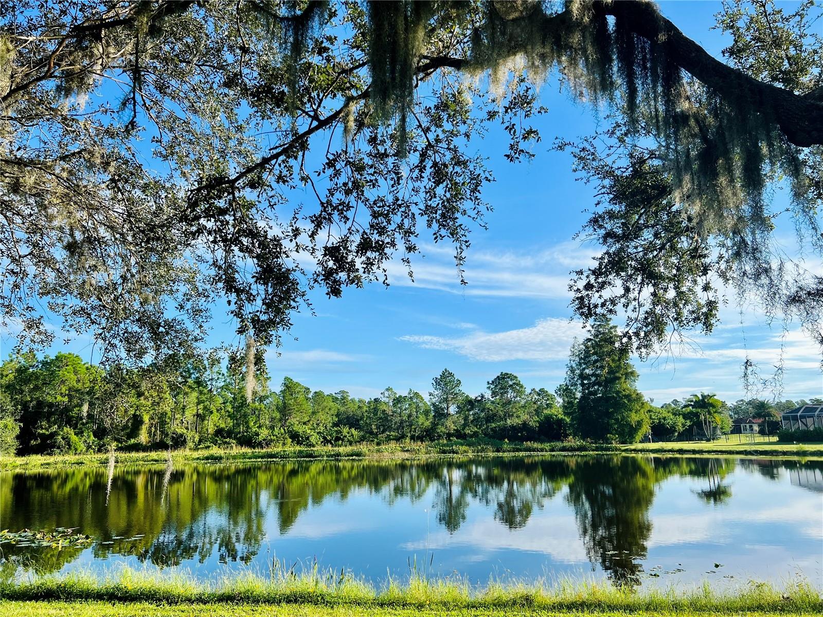 PRESERVE AT PANTHER RIDGE - Residential
