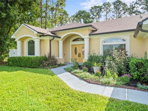 A home in PALM COAST