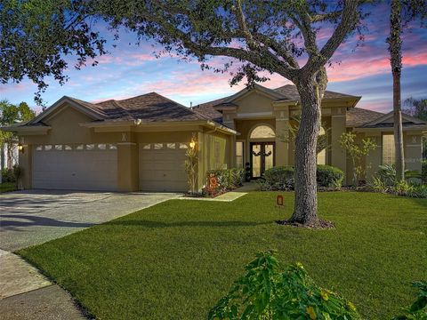 4805 TEA ROSE COURT LUTZ FL 33558