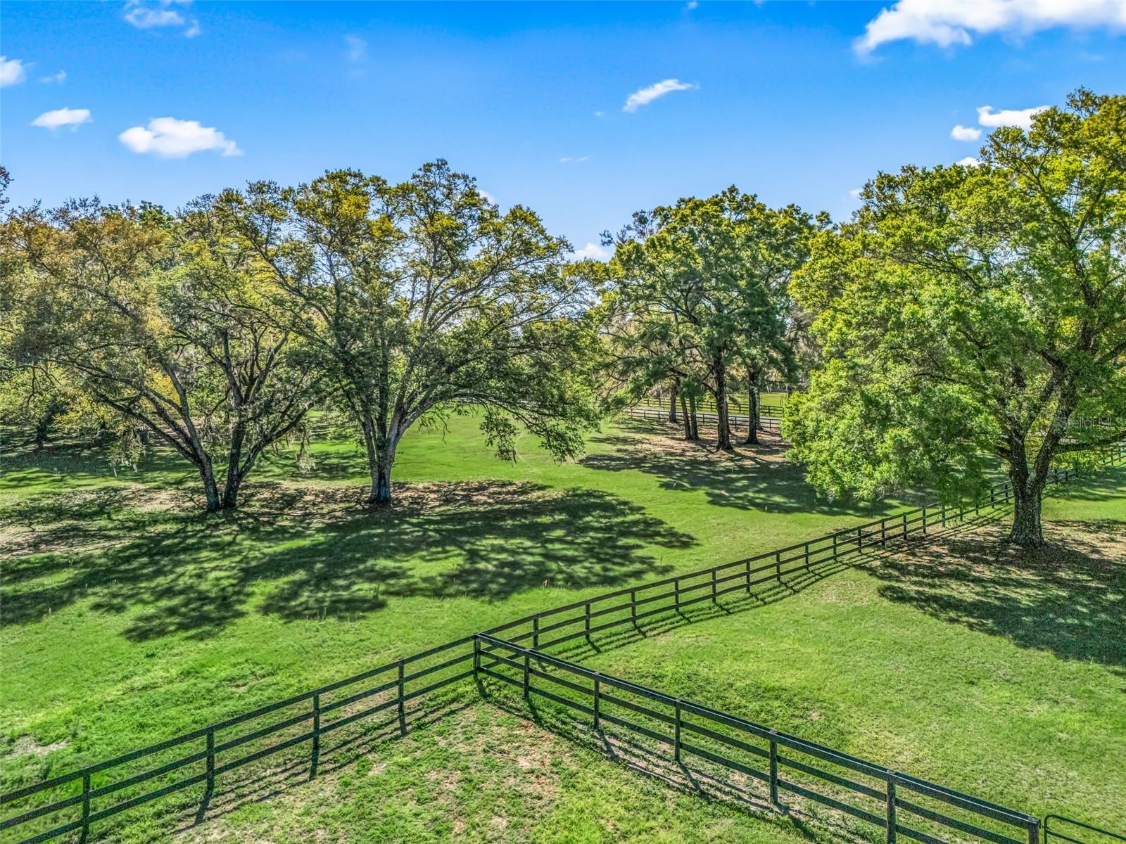 MEADOW WOOD FARMS 01 - Land