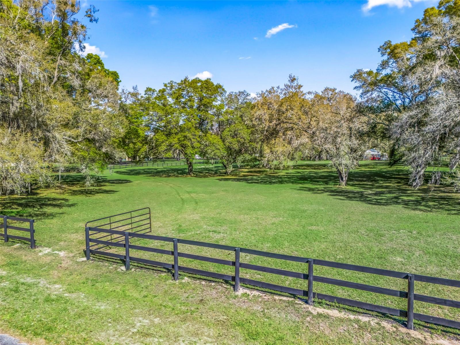 MEADOW WOOD FARMS 01 - Land