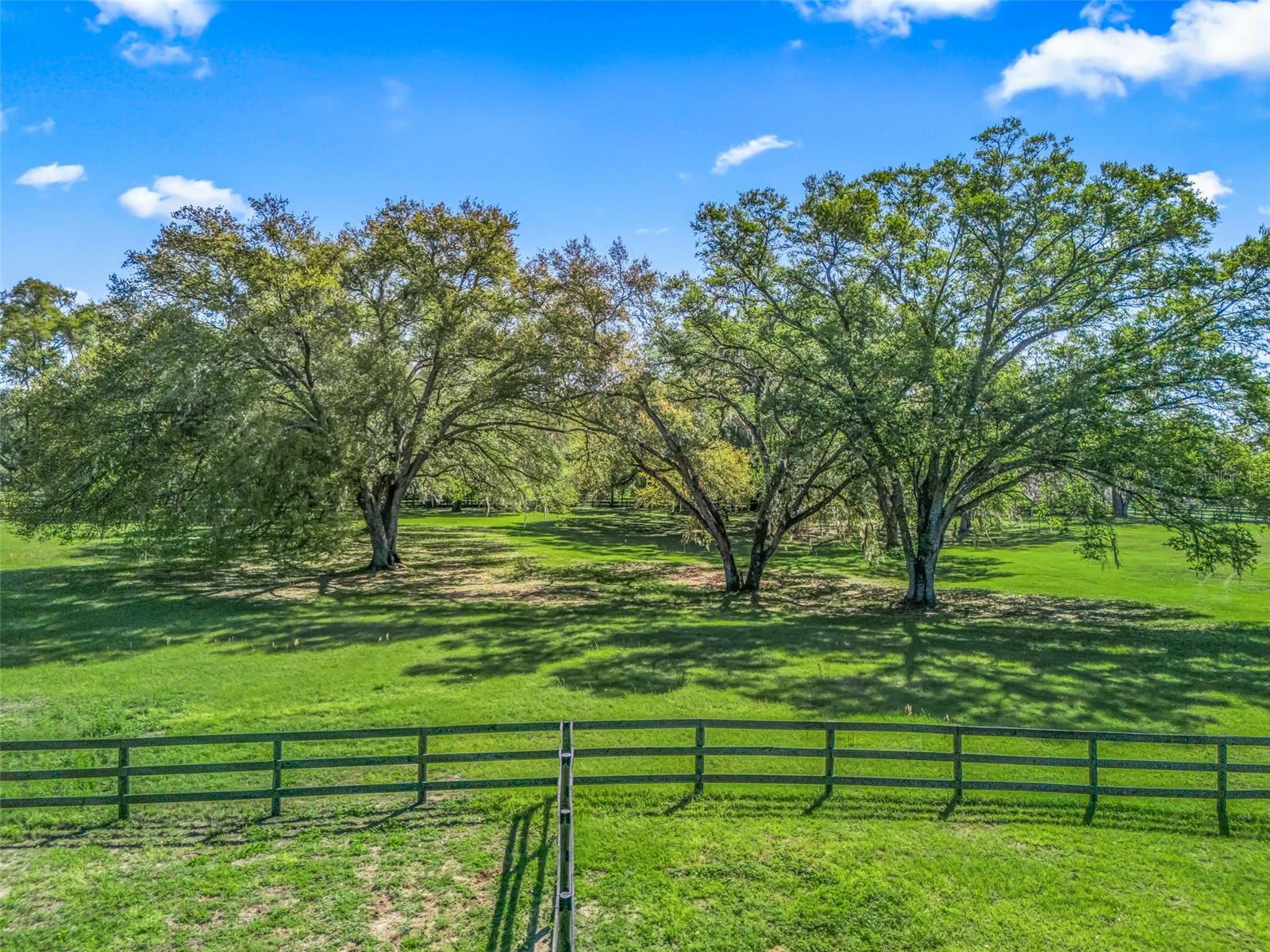 MEADOW WOOD FARMS 01 - Land