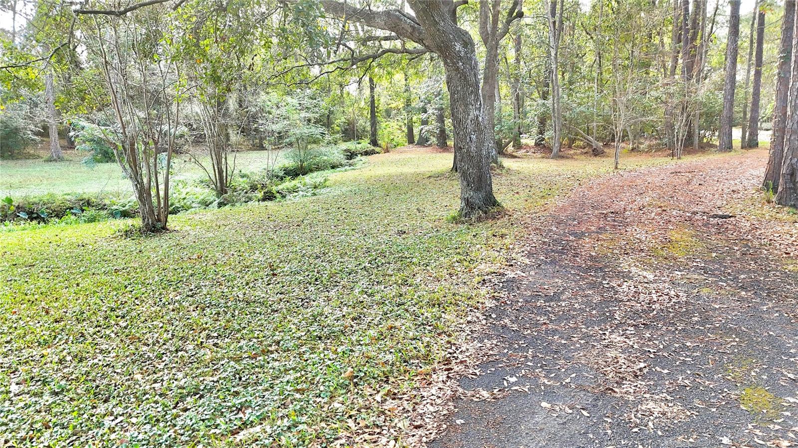 JAX HEIGHTS SEC - Residential