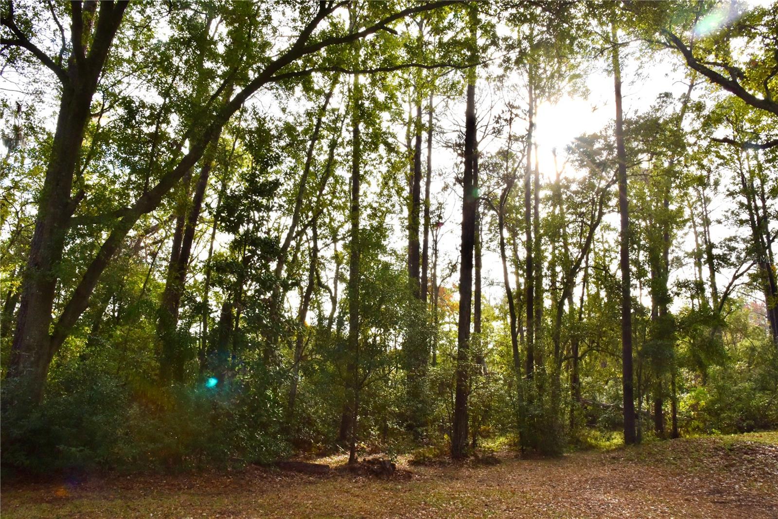 JAX HEIGHTS SEC - Residential