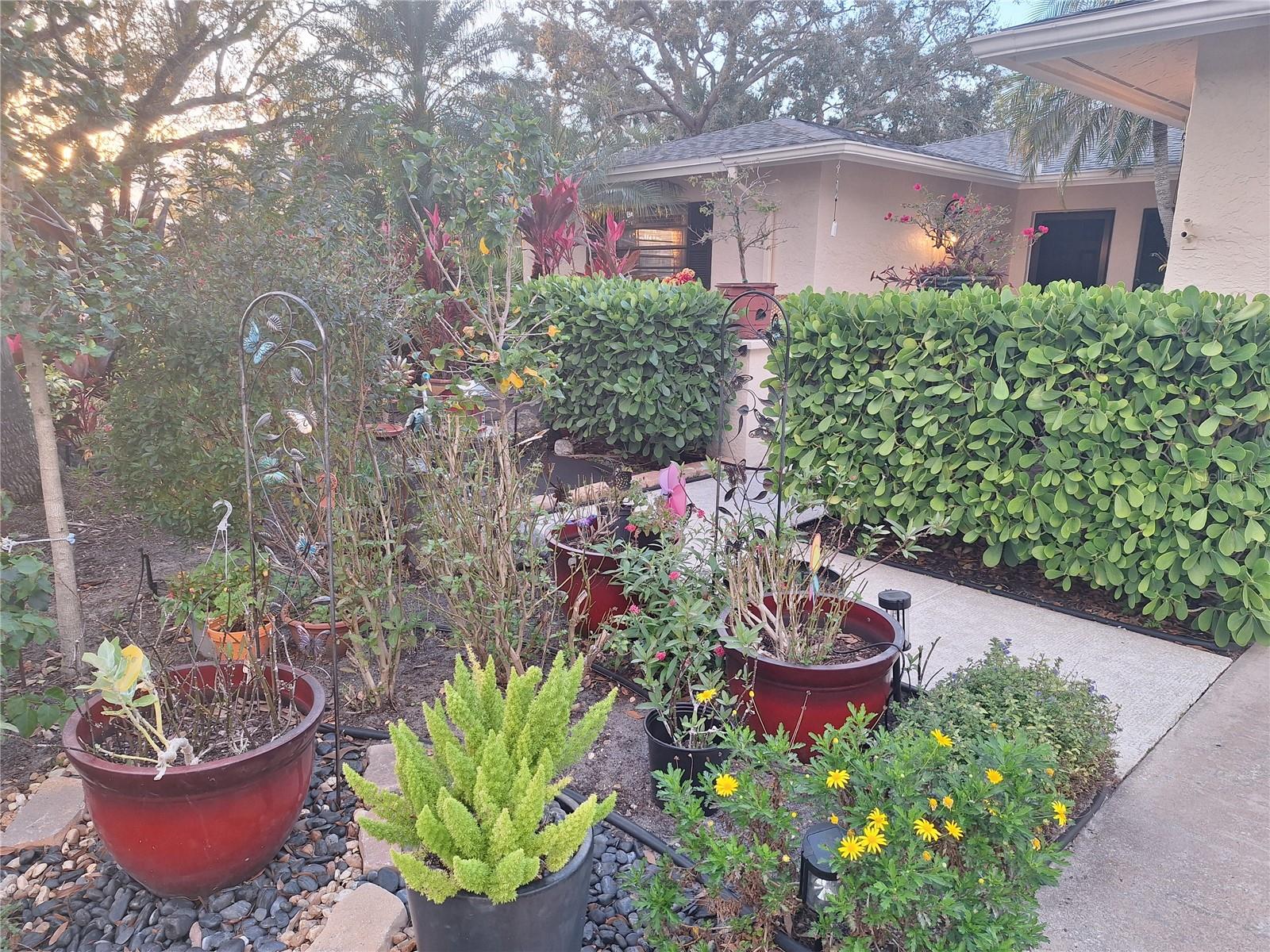 PALM-AIRE AT SARASOTA 11-A - Residential