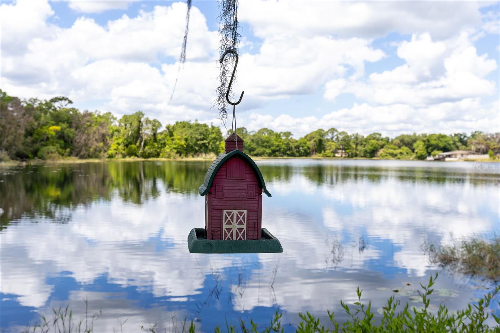 NORTH CHULUOTA REP - Residential