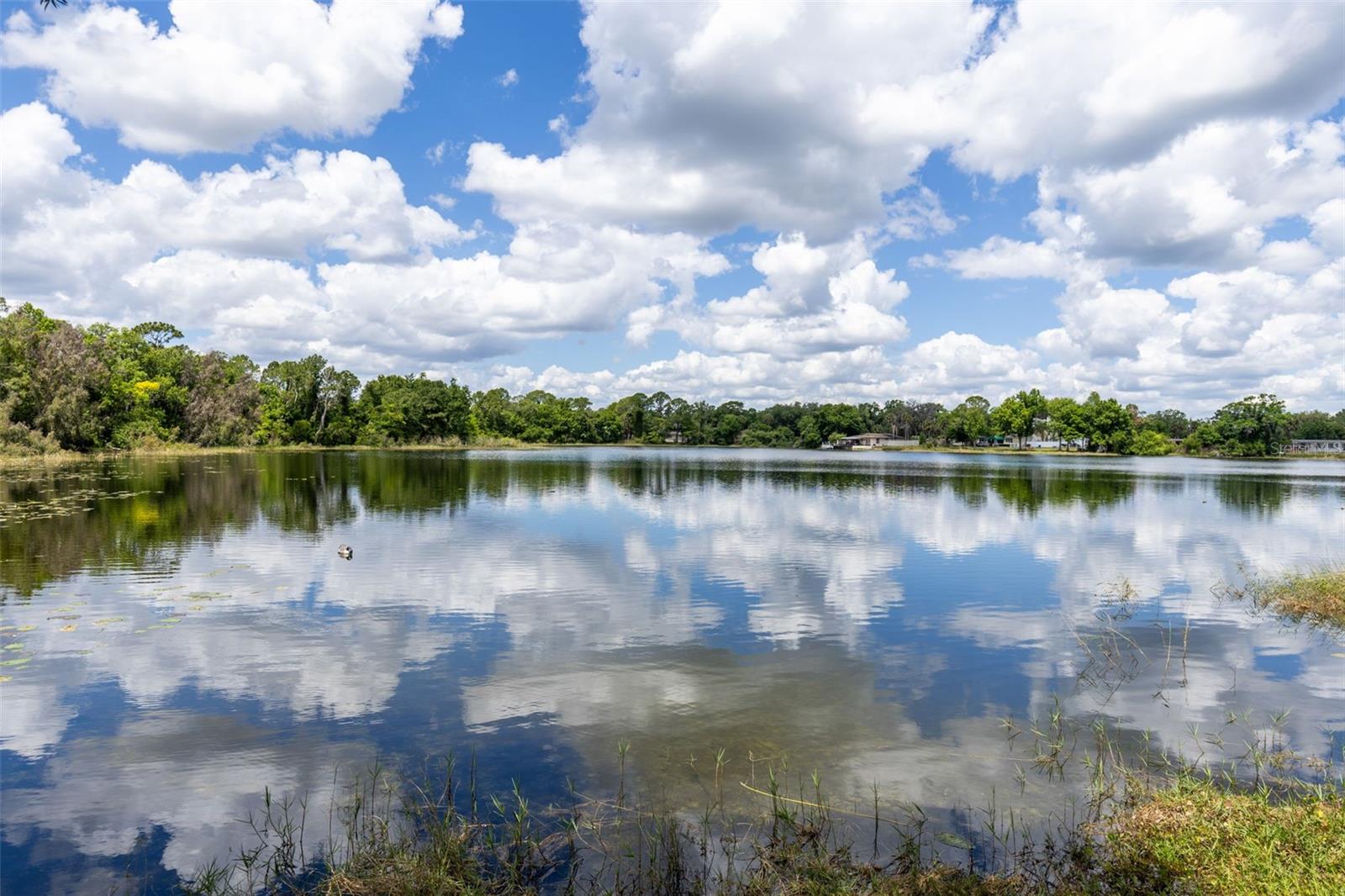 NORTH CHULUOTA REP - Residential