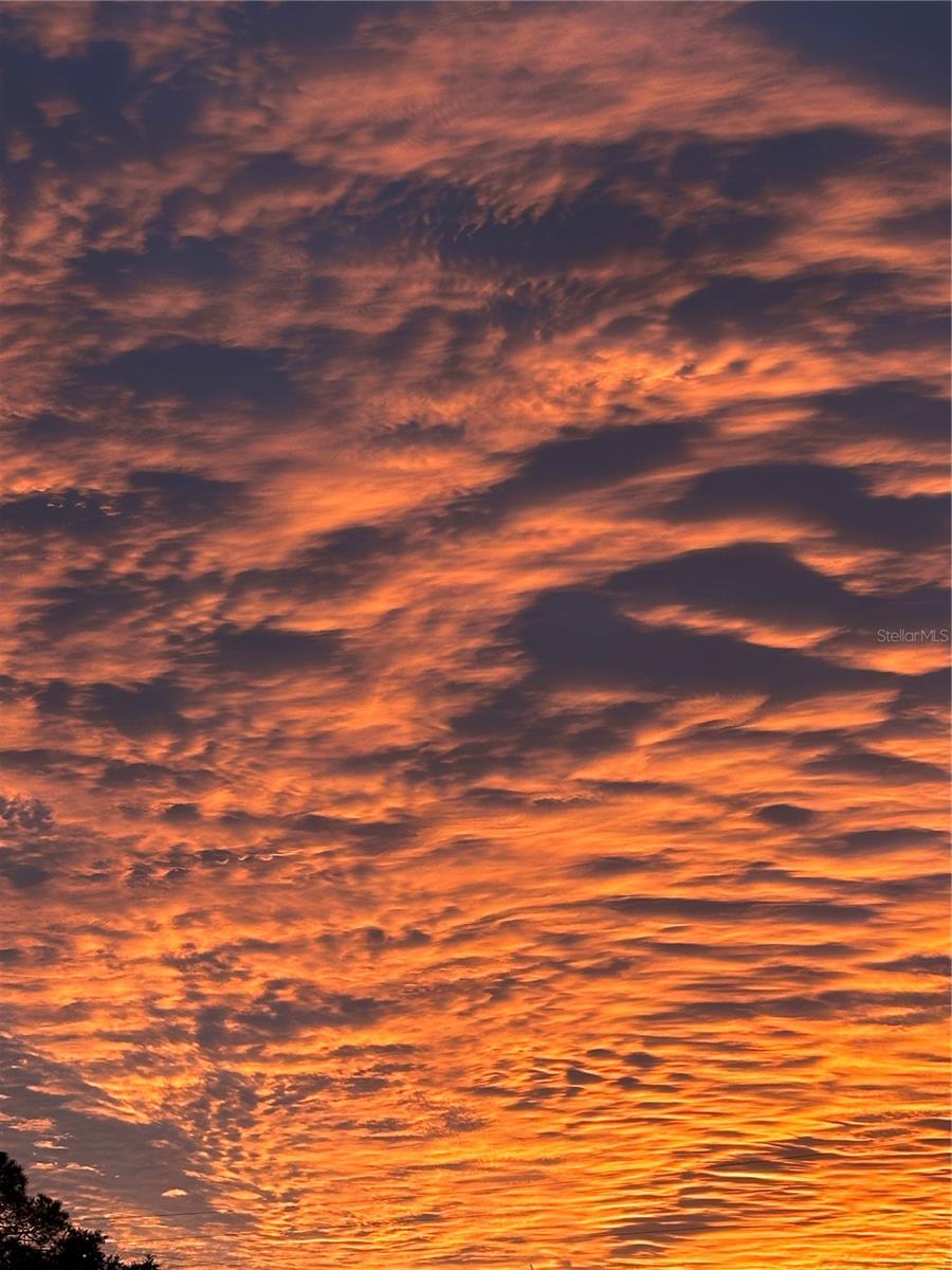 TOWN SHORES OF GULFPORT - Residential