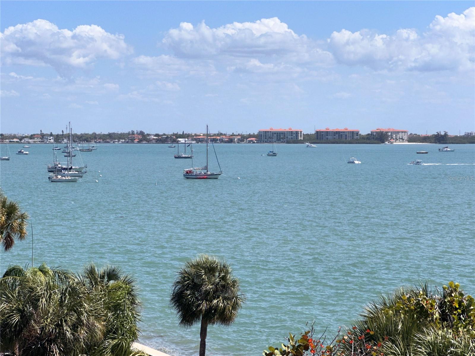 TOWN SHORES OF GULFPORT - Residential