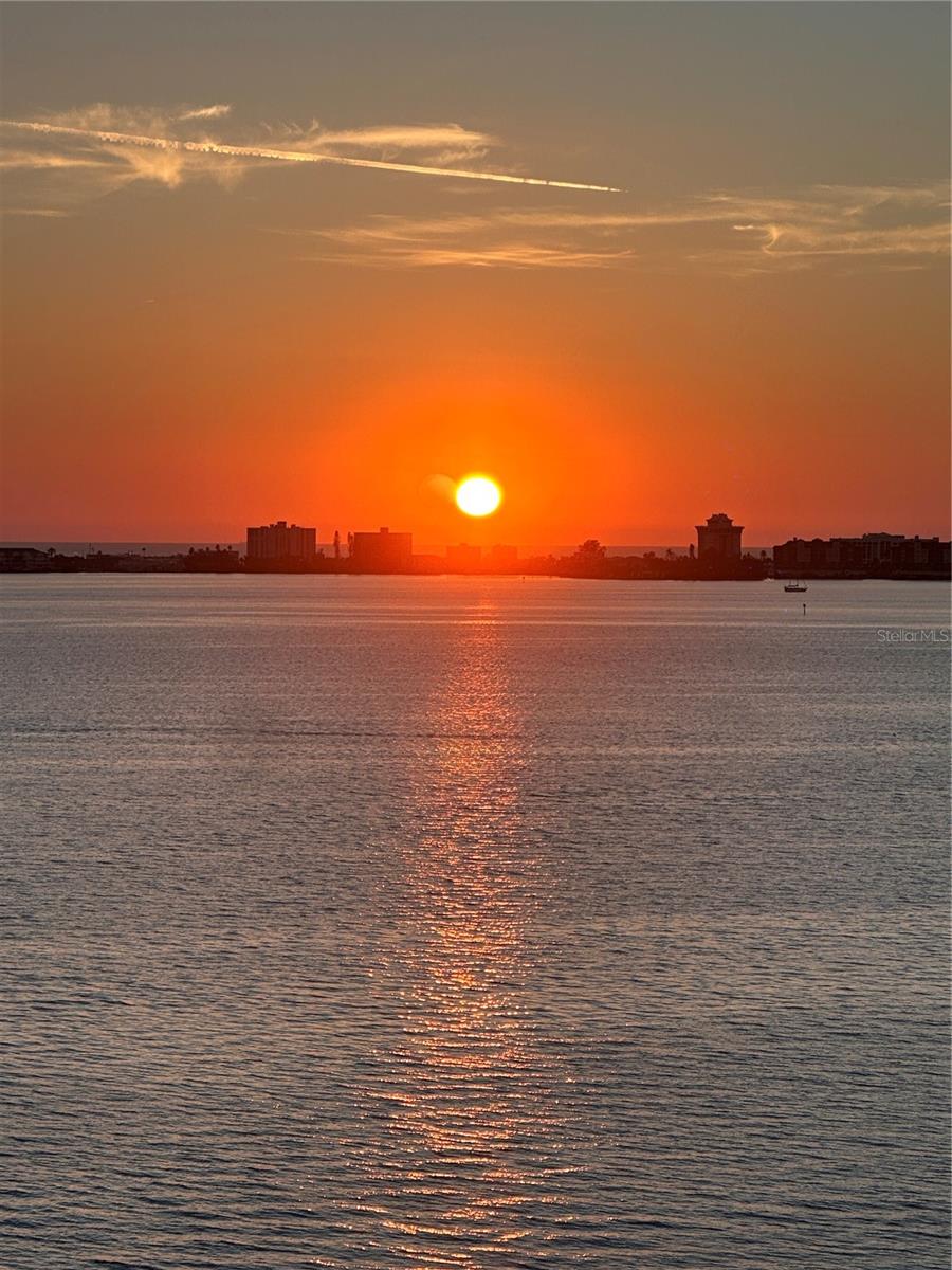 TOWN SHORES OF GULFPORT - Residential
