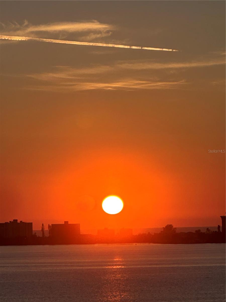 TOWN SHORES OF GULFPORT - Residential