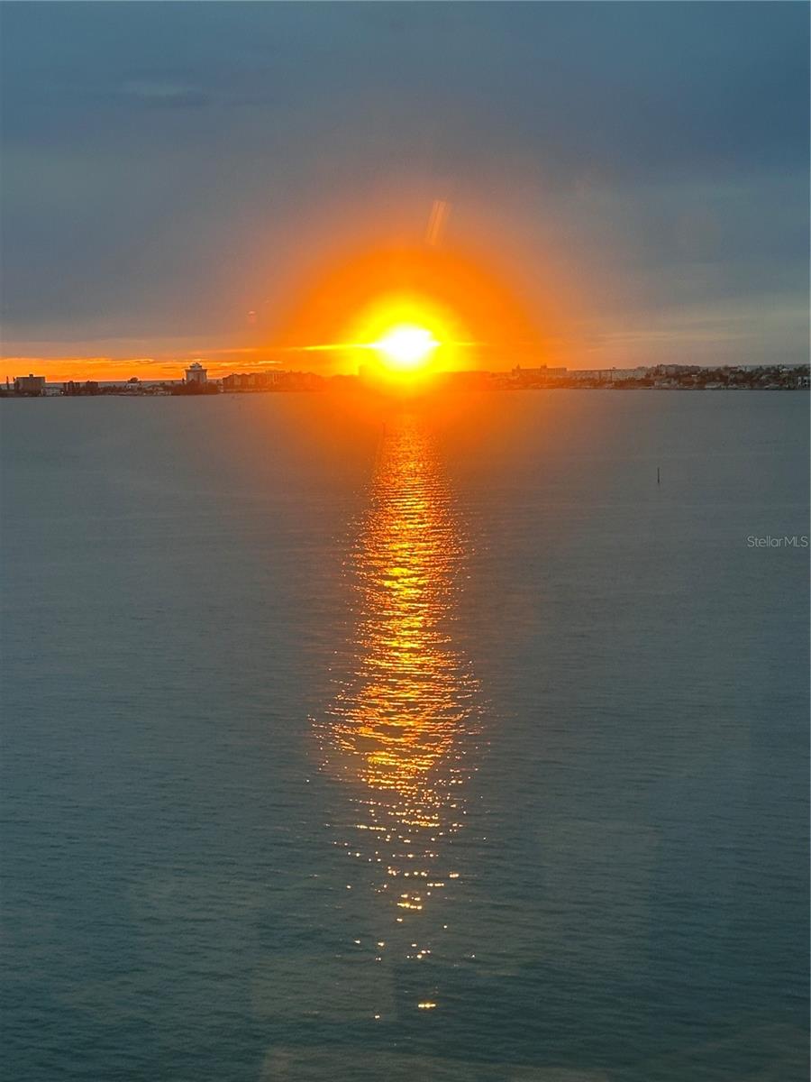 TOWN SHORES OF GULFPORT - Residential
