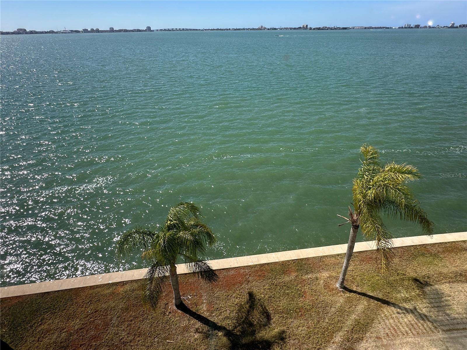 TOWN SHORES OF GULFPORT - Residential