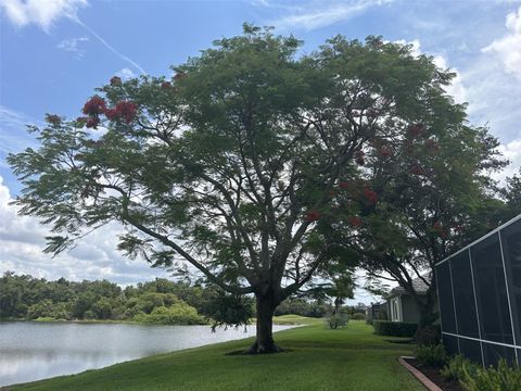 A home in SARASOTA