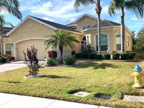 A home in SUN CITY CENTER