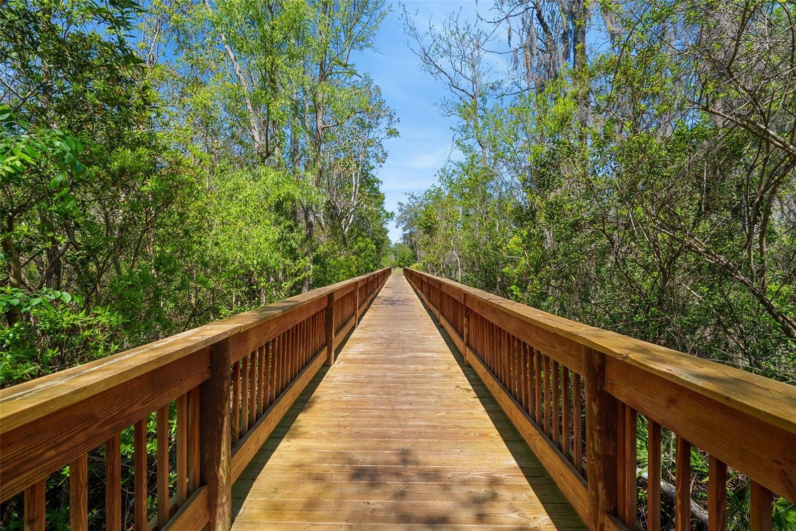 VILLAGES/VALENCIA PH 4 - Residential