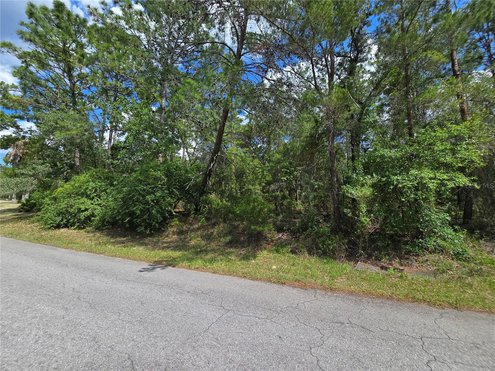 SUGARMILL WOODS OAK VILLAGE - Land