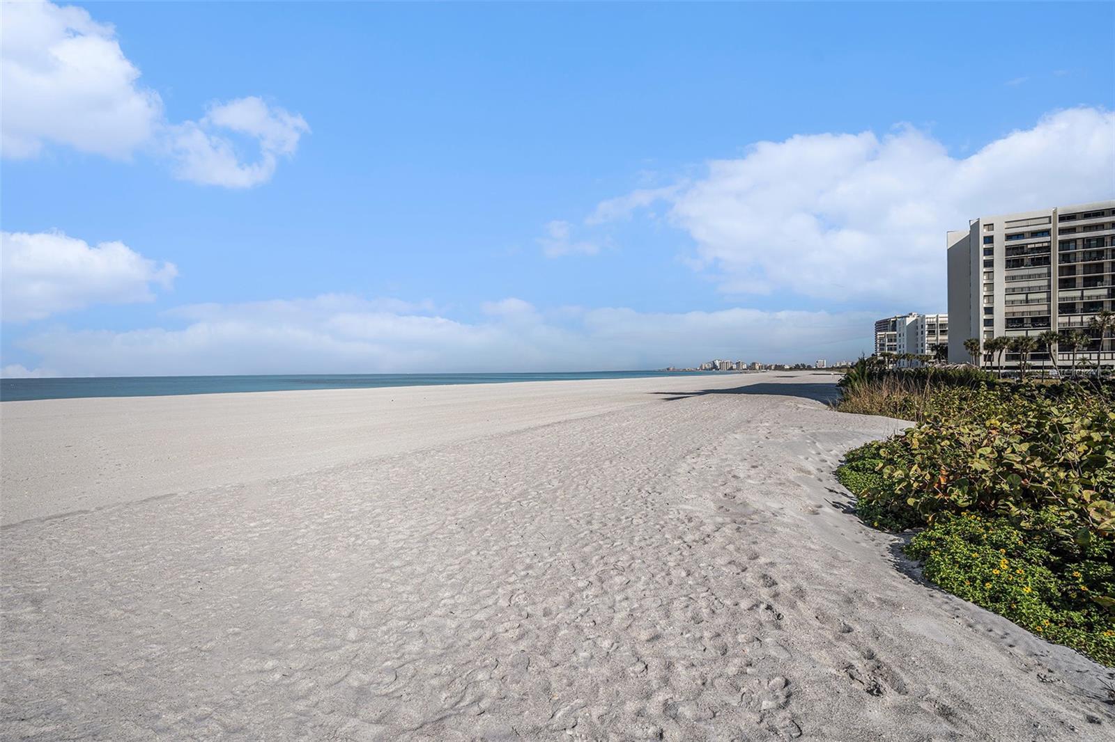 SAND KEY CONDO-SOUTH BEACH - Residential