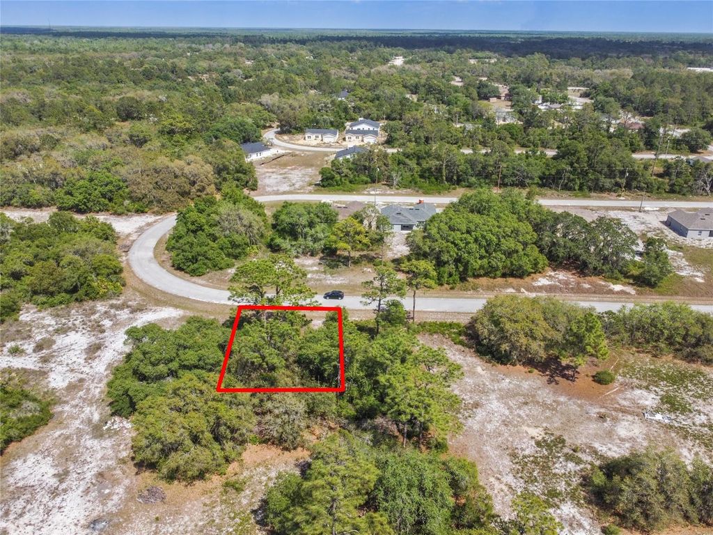 Photo of 1335 Hillsborough Court, Kissimmee, FL 34759 (MLS # O6374388)