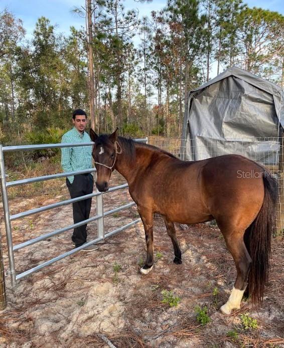 WILLISTON HIGHLANDS UN 5 - Residential