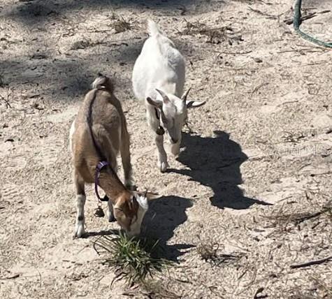 WILLISTON HIGHLANDS UN 5 - Residential