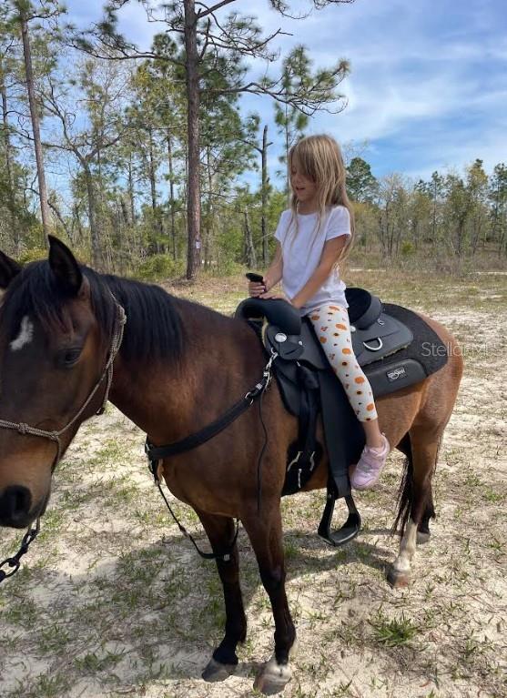 WILLISTON HIGHLANDS UN 5 - Residential