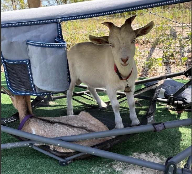 WILLISTON HIGHLANDS UN 5 - Residential