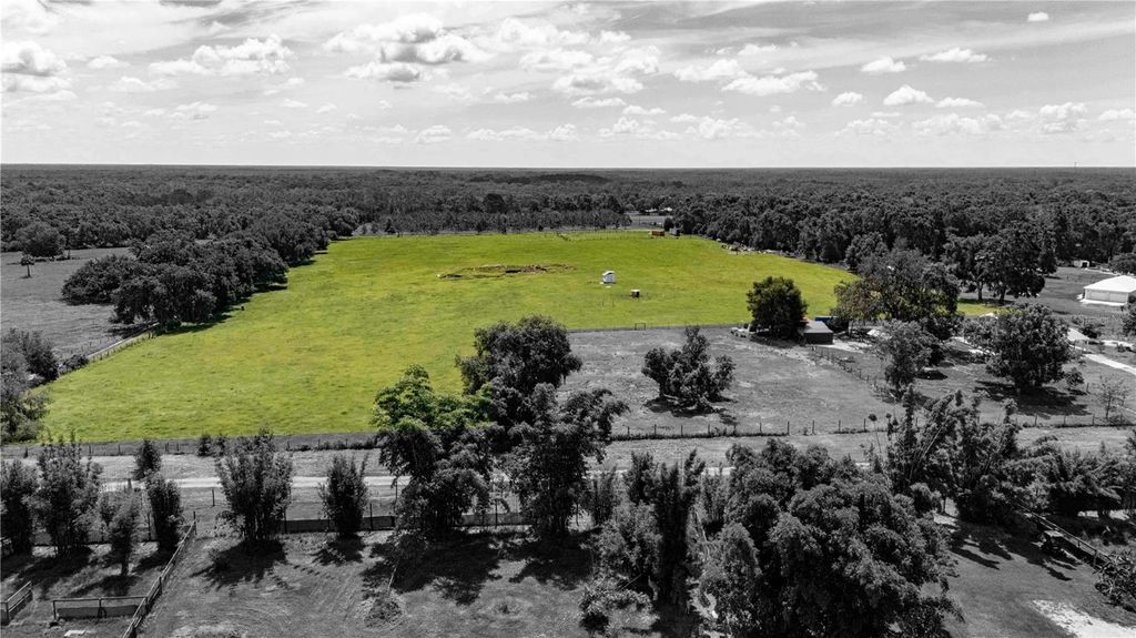 Photo of 39797 River Road, Dade City, FL 33525 (MLS # TB8406345)