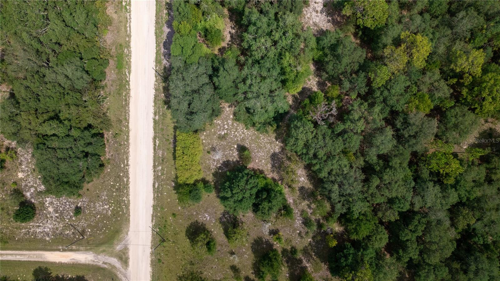 BIG TREE LAKES SEC B - Land