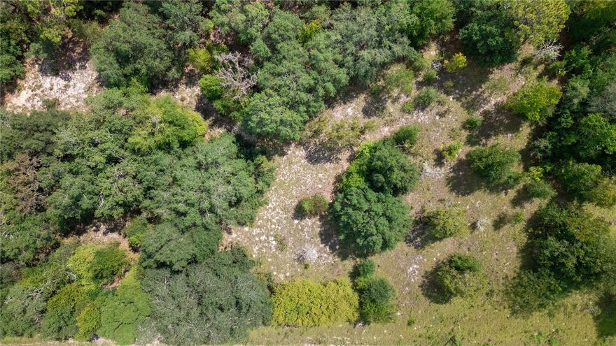 Welcome to your future homesite on this spacious 1.1-acre parcel in Keystone Heights! The lot is partially wooded, offering natural shade and privacy, while also partially cleared for easy development—the perfect balance of seclusion and build-ready convenience. Located in the peaceful Big Tree Lakes community, this property provides plenty of room for your dream home, outdoor living space, or even a workshop. Enjoy country living with quick access to nearby lakes, parks, and schools, all while being within an easy drive to Gainesville, Palatka, and Jacksonville. Whether you’re looking to build now or hold as an investment, this property offers exceptional value and potential.