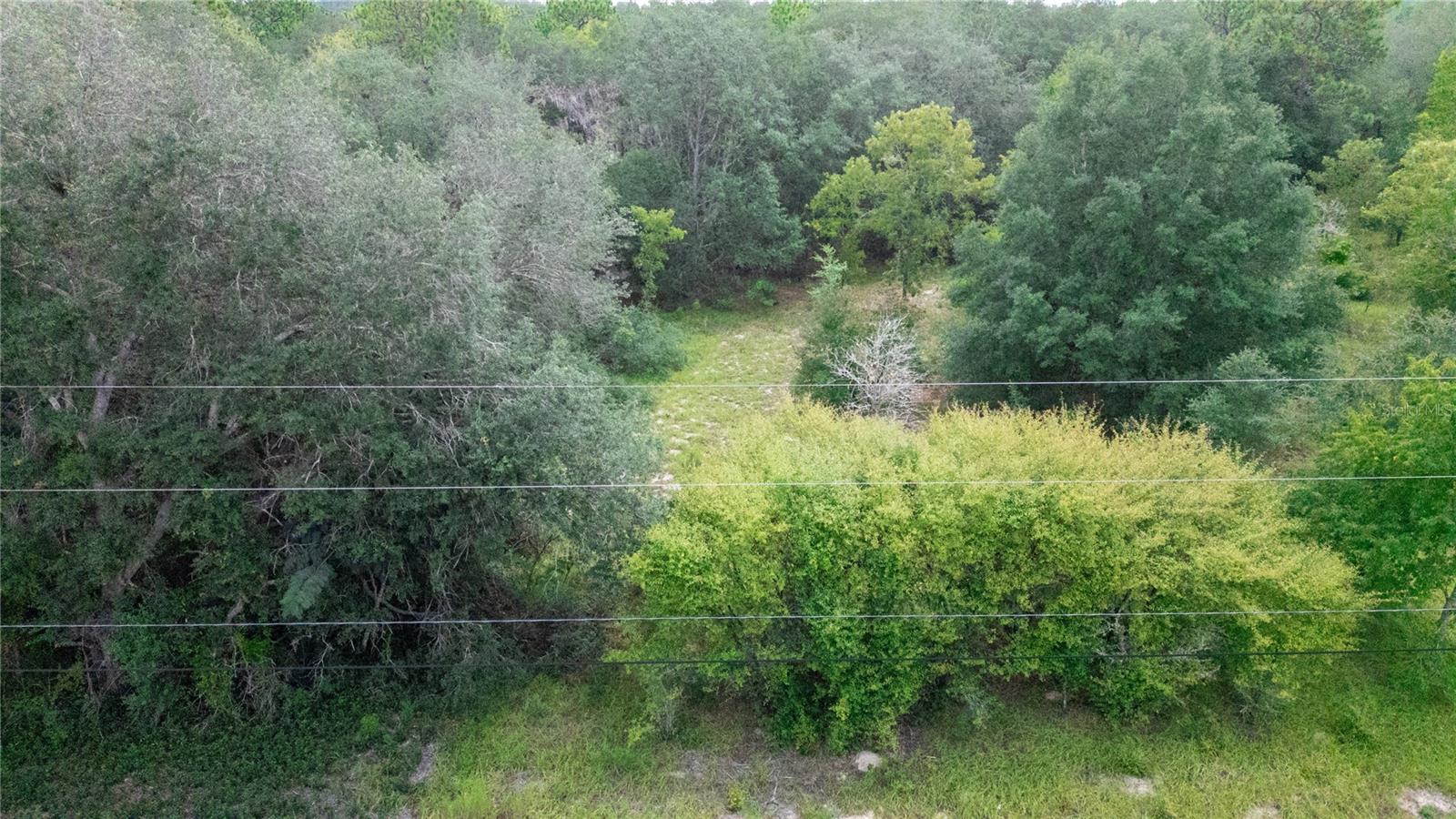 BIG TREE LAKES SEC B - Land