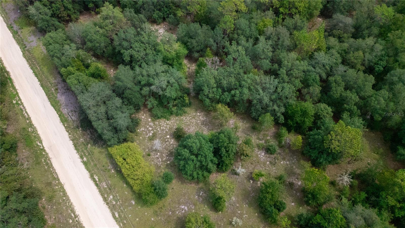 BIG TREE LAKES SEC B - Land