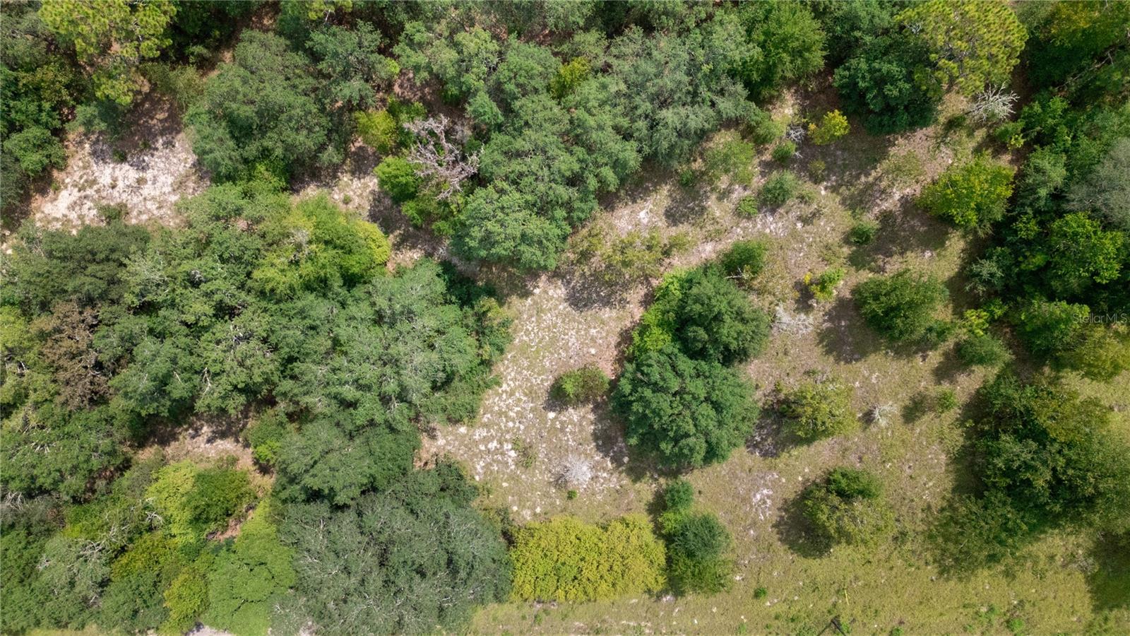 BIG TREE LAKES SEC B - Land