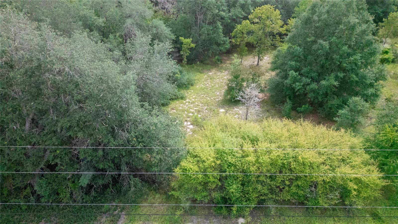 BIG TREE LAKES SEC B - Land